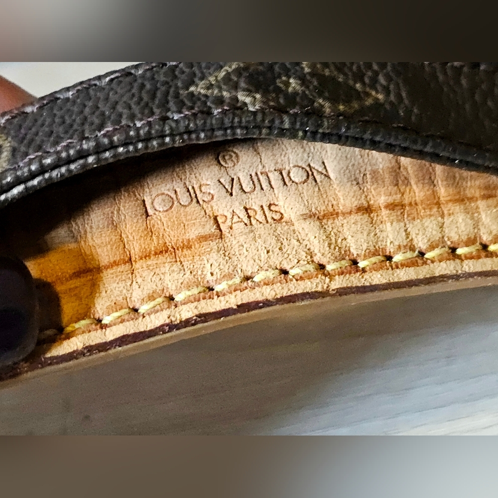 Authentic LOUIS VUITTON Monogram Danube PM Crossbody - Picture 9 of 16